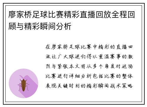 廖家桥足球比赛精彩直播回放全程回顾与精彩瞬间分析